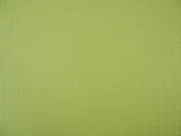 chanelka w kolorze zielonym w odcieniu jasnego groszku