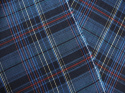 len w niebieską kratę tartan