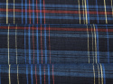 len w niebieską kratę tartan