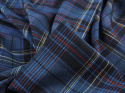 len w niebieską kratę tartan