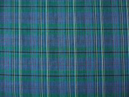 len w szkocką kratę tartan