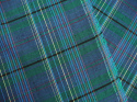 len w szkocką kratę tartan