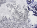 len w scenki Toile de Jouy