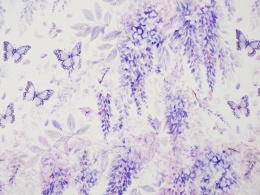 biały jedwab w fioletowe wisterie i motyle