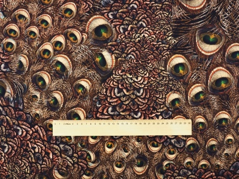 jedwab w brązowe, pawie pióra