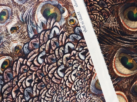 jedwab w brązowe, pawie pióra