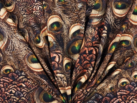 jedwab w brązowe, pawie pióra