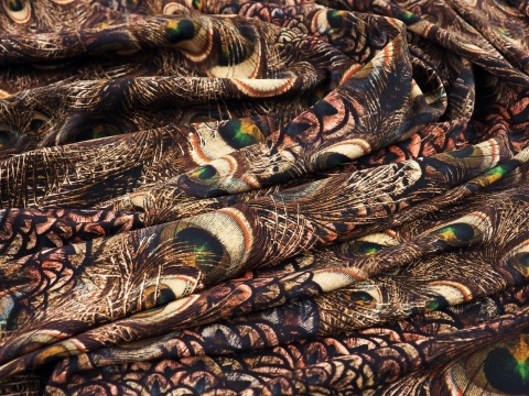 jedwab w brązowe, pawie pióra