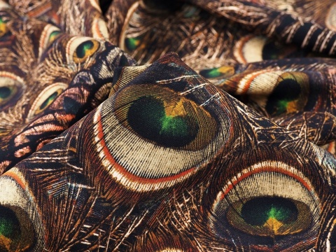 jedwab w brązowe, pawie pióra