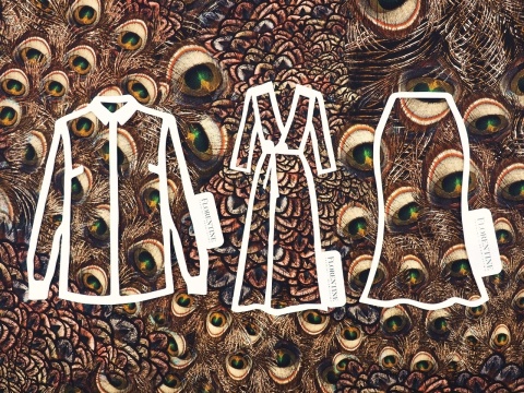 jedwab w brązowe, pawie pióra