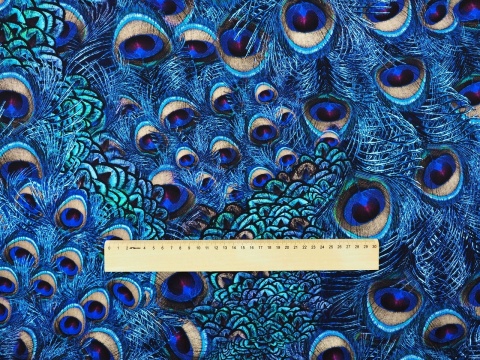 jedwab w niebieskie, pawie pióra