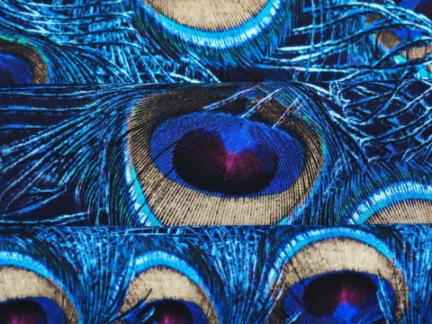jedwab w niebieskie, pawie pióra