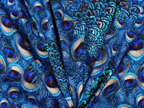 jedwab w niebieskie, pawie pióra