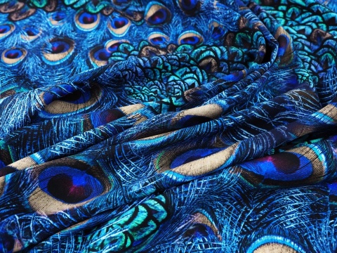 jedwab w niebieskie, pawie pióra