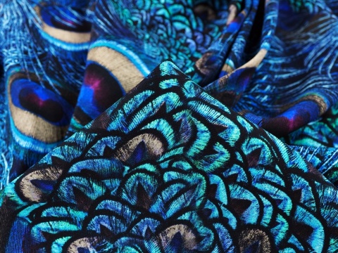 jedwab w niebieskie, pawie pióra