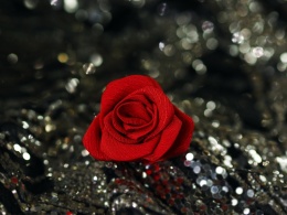 czerowna broszka jedwabna róża zestaw prezentowy