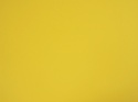 Poliamid elastyczny - Słoneczny żółty