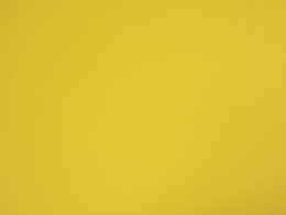 Poliamid elastyczny - Słoneczny żółty