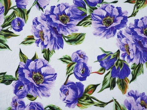 biała, haftowana bawełna w niebiesko-fioletowe anemony