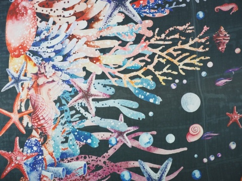 czarny szyfon w koralowce i rozgwiazdy