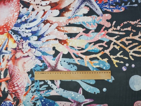 czarny szyfon w koralowce i rozgwiazdy