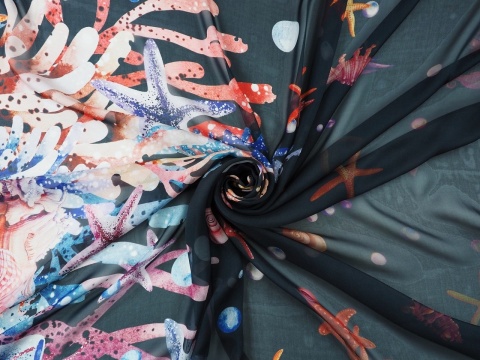 czarny szyfon w koralowce i rozgwiazdy