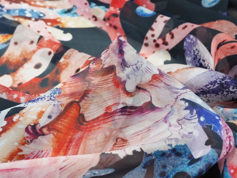 czarny szyfon w koralowce i rozgwiazdy