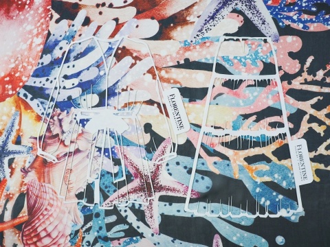 czarny szyfon w koralowce i rozgwiazdy