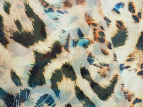 szyfon w duże cętki i kocie oczy