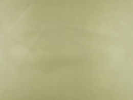 podszewka w kolorze szampańskiego beżu