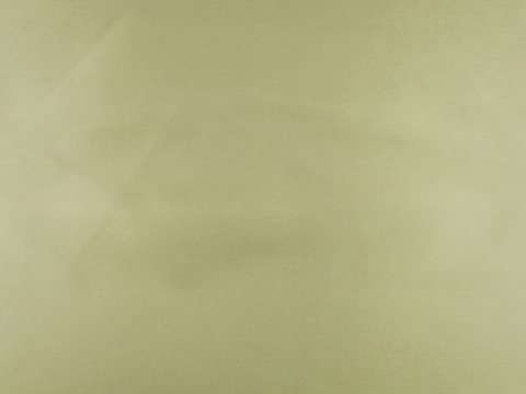 podszewka w kolorze szampańskiego beżu