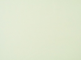 podszewka w kolorze budyniu waniliowego