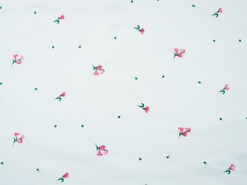 bawełniana tkanina w haftowane drobne kwiatki i kropki