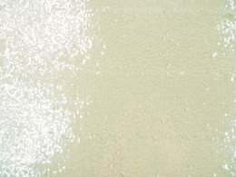 jasny tiul z przejrzystymi cekinami