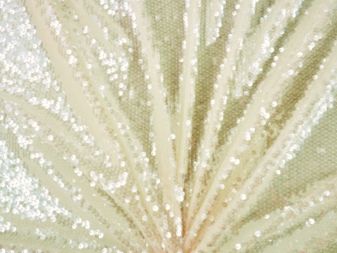jasny tiul z przejrzystymi cekinami