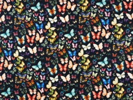 jedwab w kolorowe motyle na czarnym tle