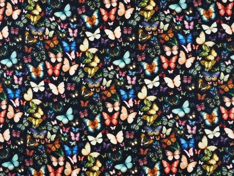 wiskoza w kolorowe motyle na czarnym tle