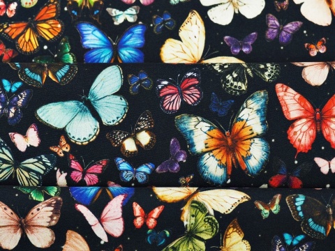 jedwab w kolorowe motyle na czarnym tle