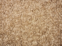 beżowy tiul z przestrzennymi aplikacjami w kształcie płatków kwiatów