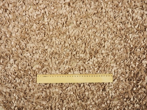 beżowy tiul z przestrzennymi aplikacjami w kształcie płatków kwiatów