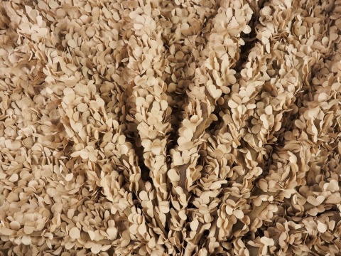 beżowy tiul z przestrzennymi aplikacjami w kształcie płatków kwiatów