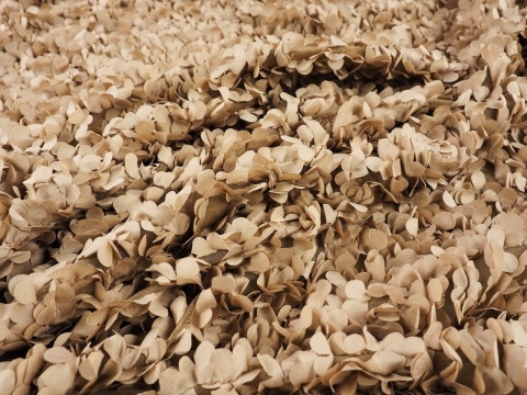 beżowy tiul z przestrzennymi aplikacjami w kształcie płatków kwiatów