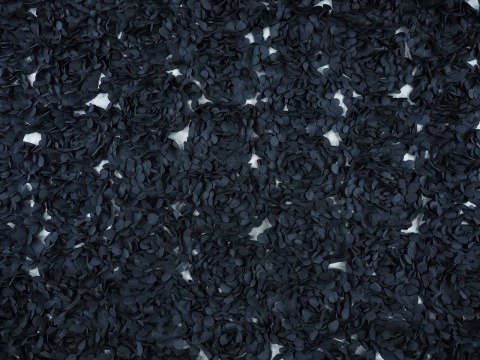 czarny tiul z aplikacjami płatków róż