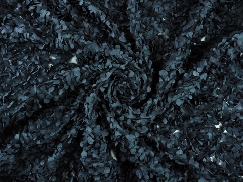 czarny tiul z aplikacjami płatków róż