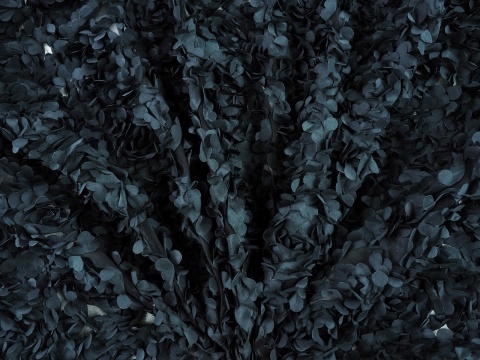 czarny tiul z aplikacjami płatków róż