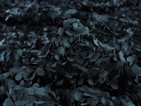 czarny tiul z aplikacjami płatków róż