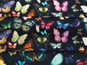 czarna wiskoza w drobne, kolorowe motyle gęsto rozmieszczone