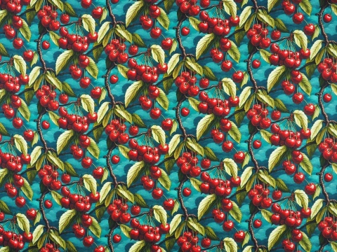 jedwab w gałązki z owocami czereśni na morskim tle