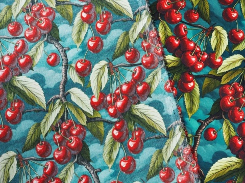 jedwab w gałązki z owocami czereśni na morskim tle