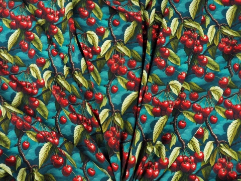 jedwab w gałązki z owocami czereśni na morskim tle